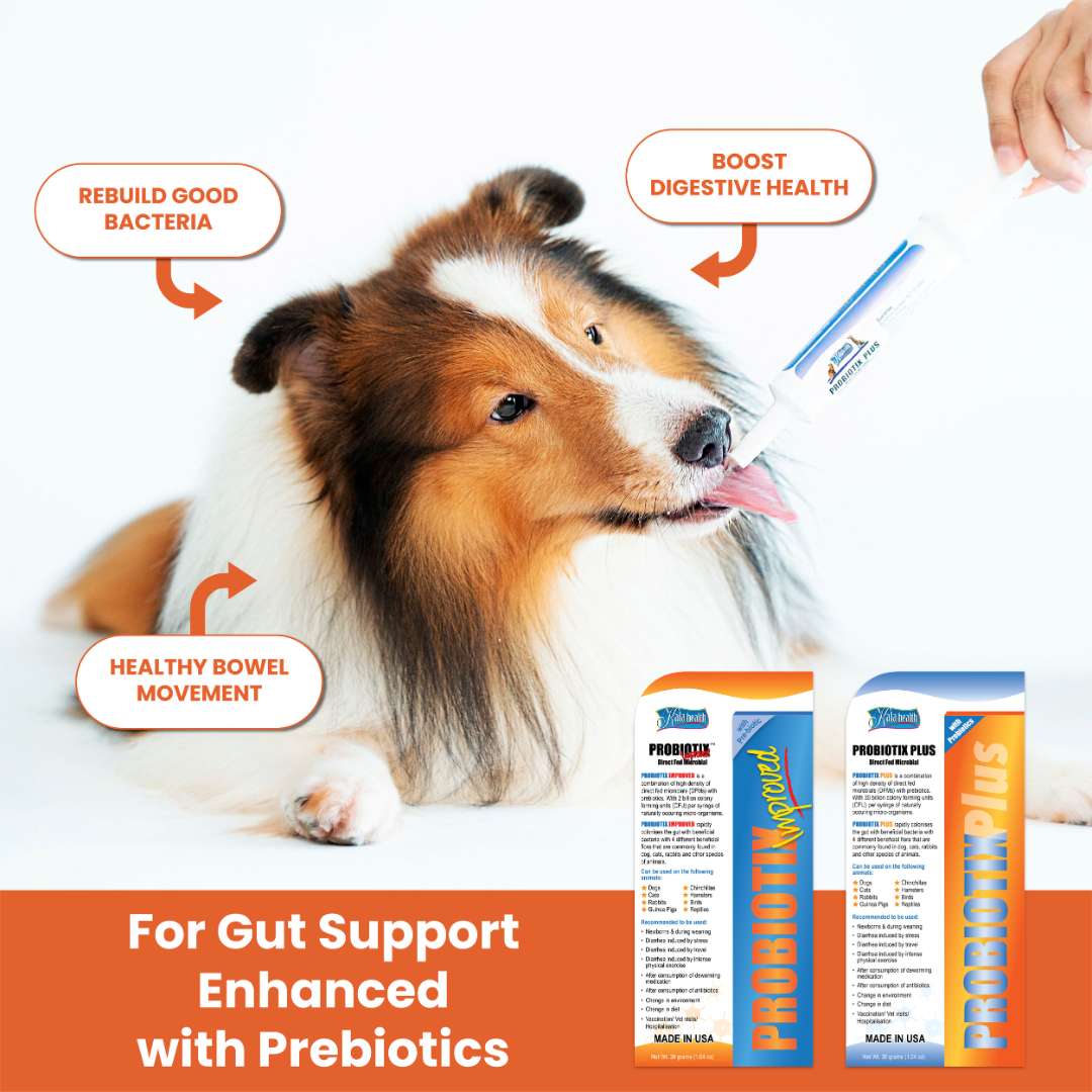 Kala Health Probiotix Improved Probiotics Pet Supplement