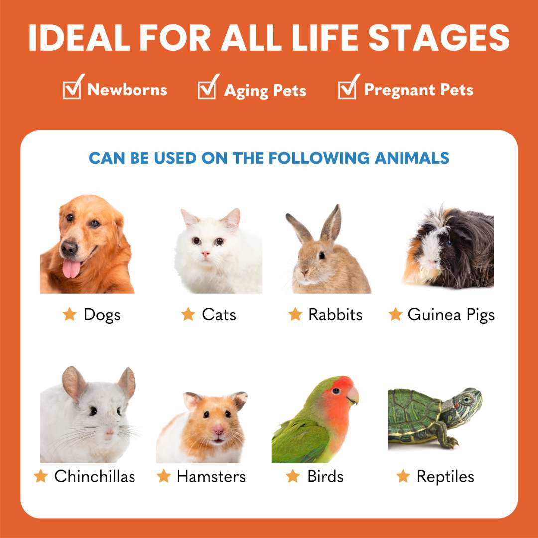 Kala Health Probiotix Improved Probiotics Pet Supplement