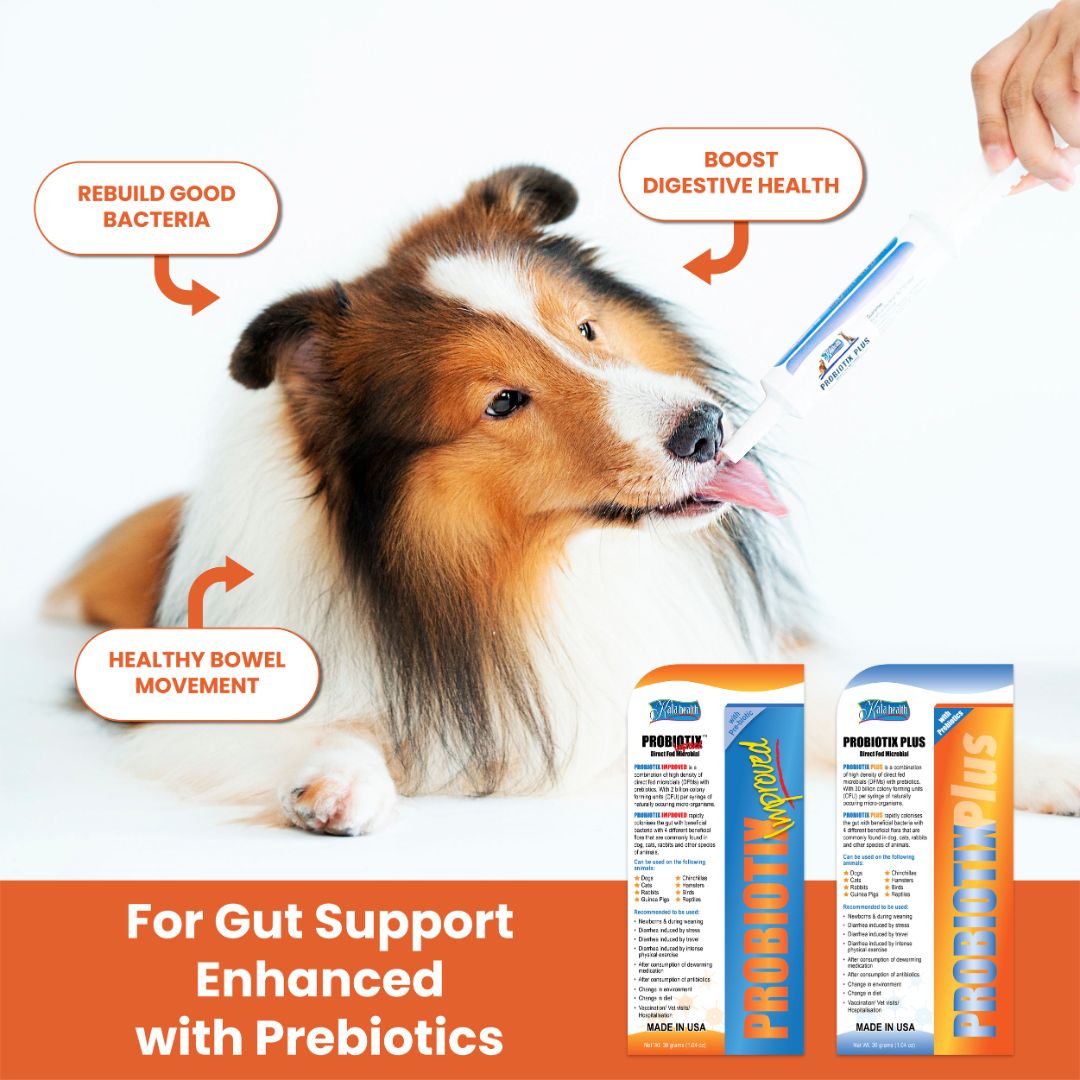 Kala Health Probiotix Plus Probiotics Pet Supplement