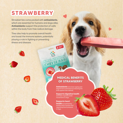 Singapaw Himalayan Yak Cheese Bar Dental Chew for Dogs