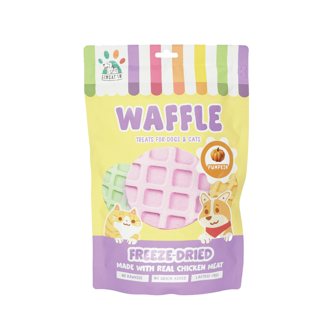 Freeze-Dried Waffle Pumpkin