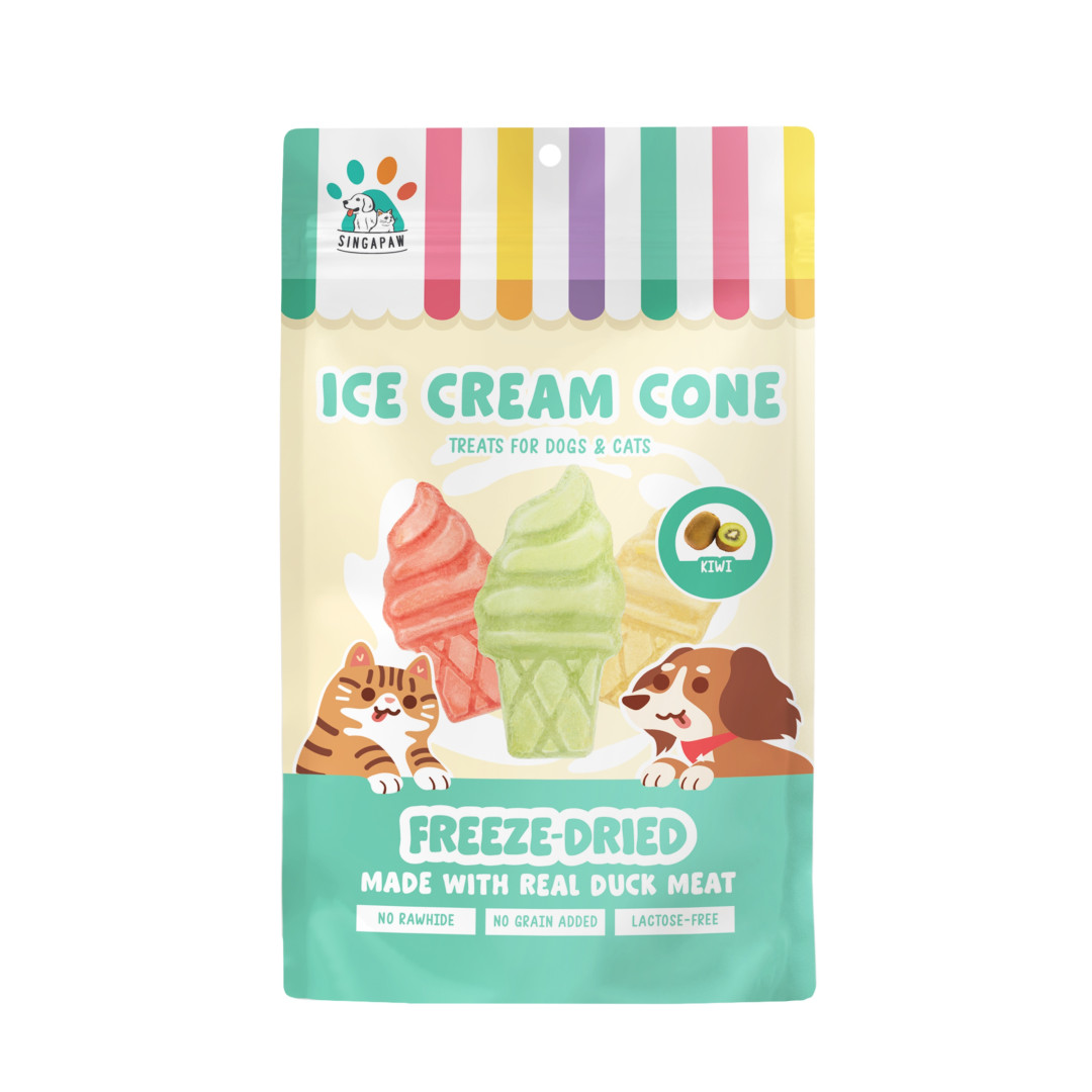 FREEZE-DRIED ICE CREAM CONE KIWI