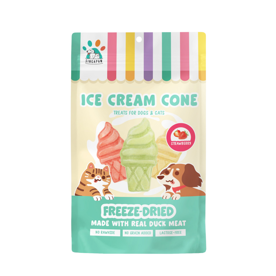 FREEZE-DRIED ICE CREAM CONE STRAWBERRY